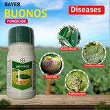 Bayer Buonos Diseases Control