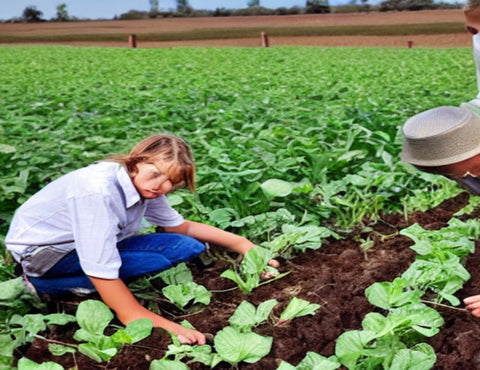 कृषि शिक्षा: किसानों की अगली पीढ़ी को सशक्त बनाना