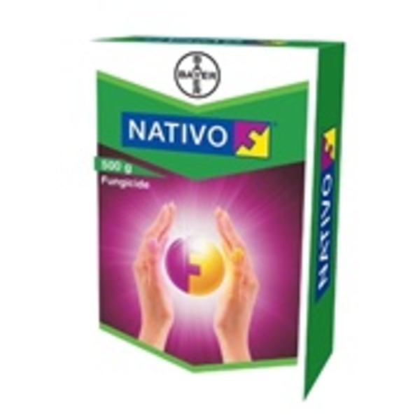 Bayer Nativo Tebuconazole + Trifloxystrobin